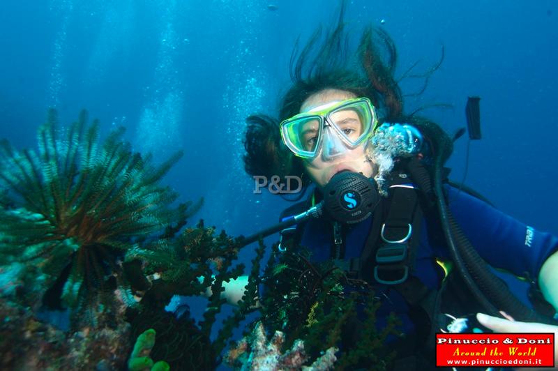 Papua Immersioni (Kavieng-New Hannover) - 03.jpg